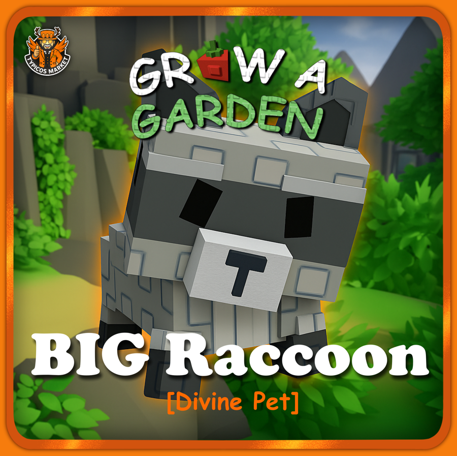 Big Raccoon Pet
