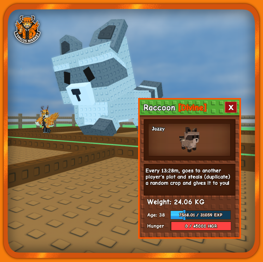 Big Raccoon Pet