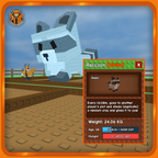 Big Raccoon Pet
