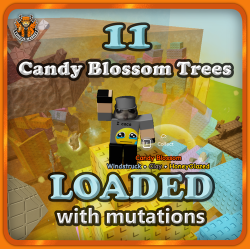 11 Candy Blossom Trees Account