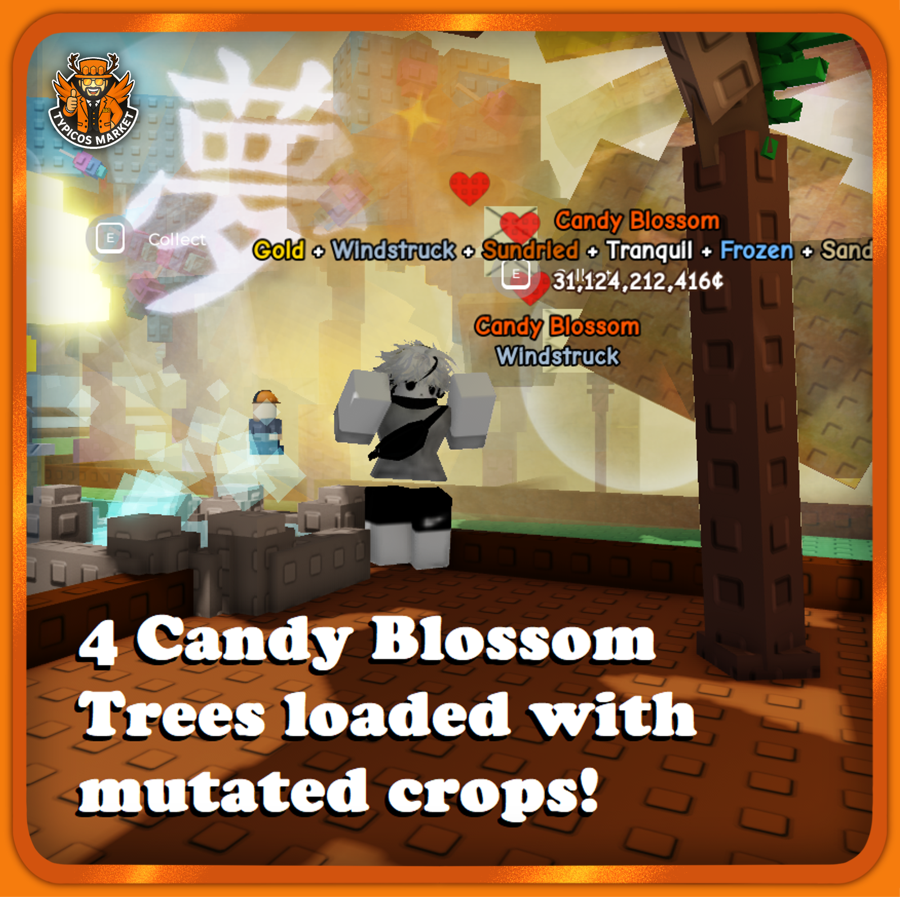 Four Candy Blossom Trees Account