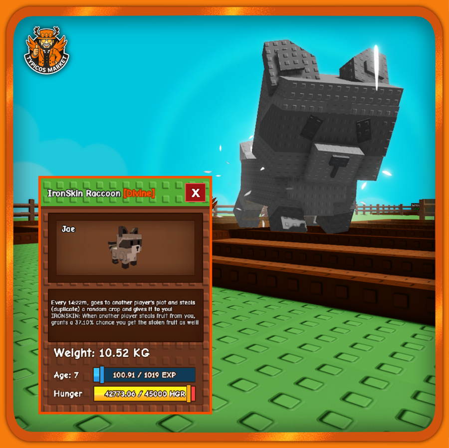 Big Ironskin Raccoon Pet