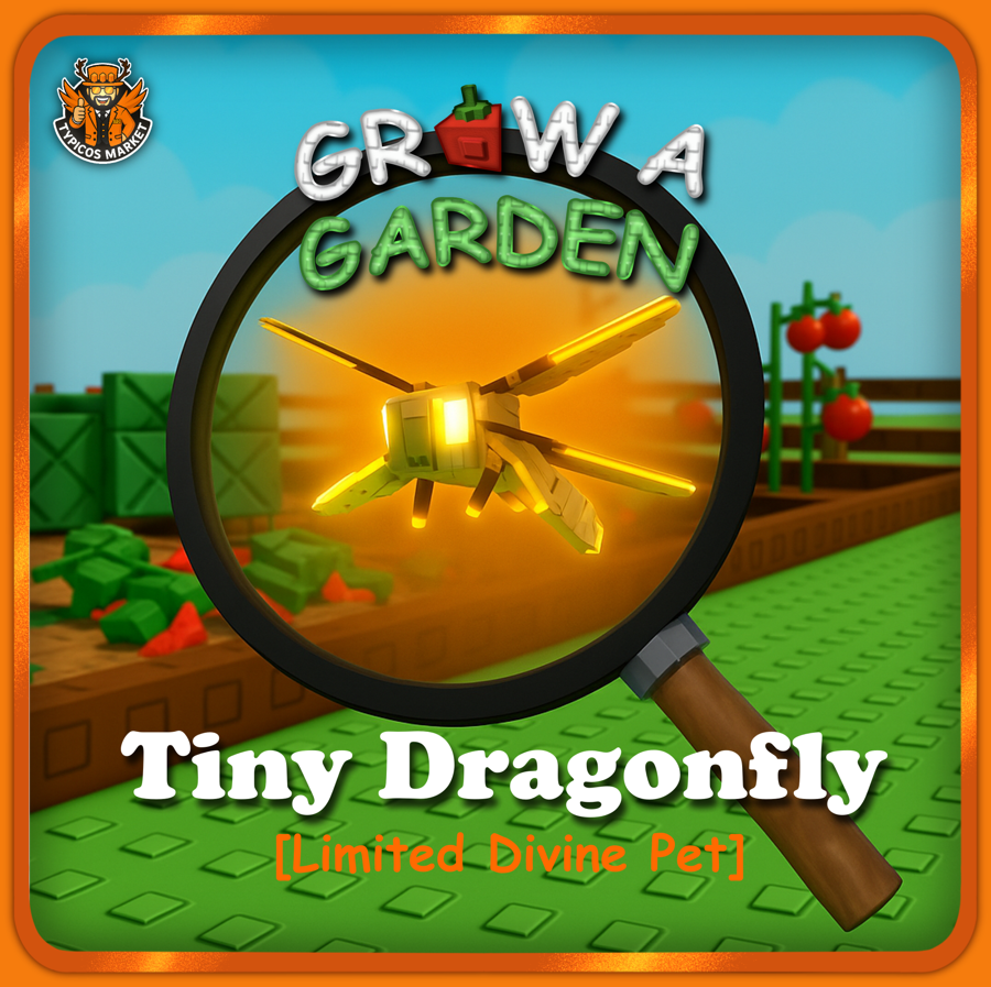 Tiny Dragonfly Pet