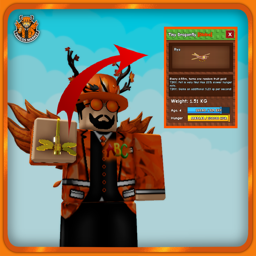 Tiny Dragonfly Pet